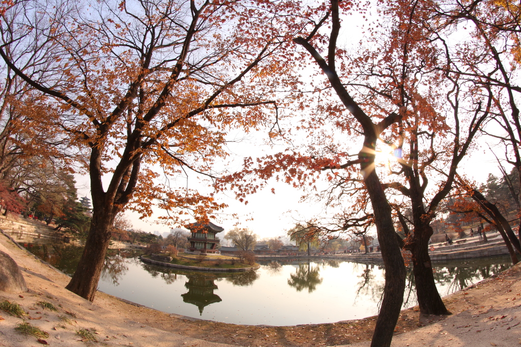gyeongbokgung palace autumn